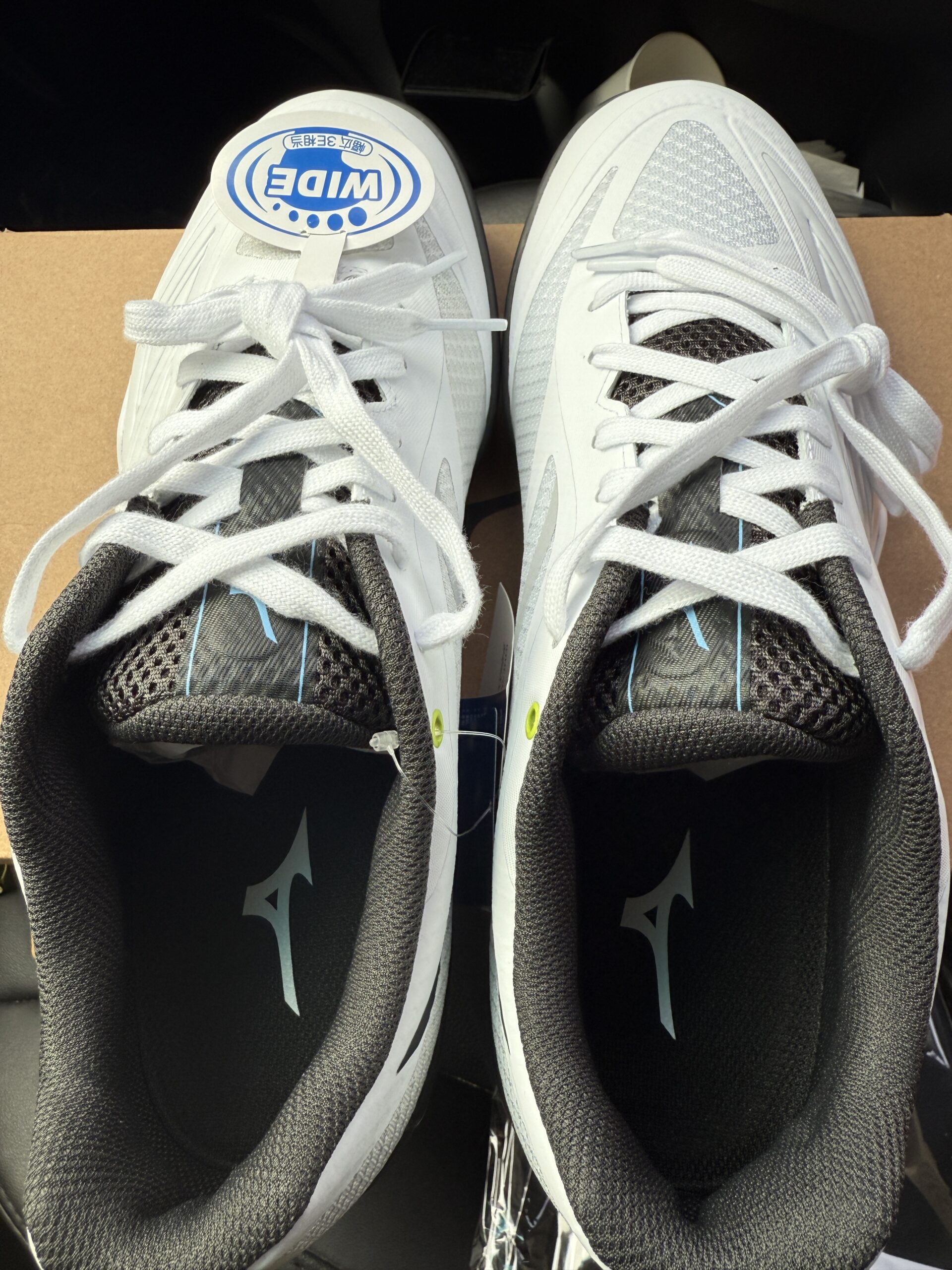 미즈노 웨이브골드8